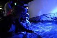 img_0244.jpg